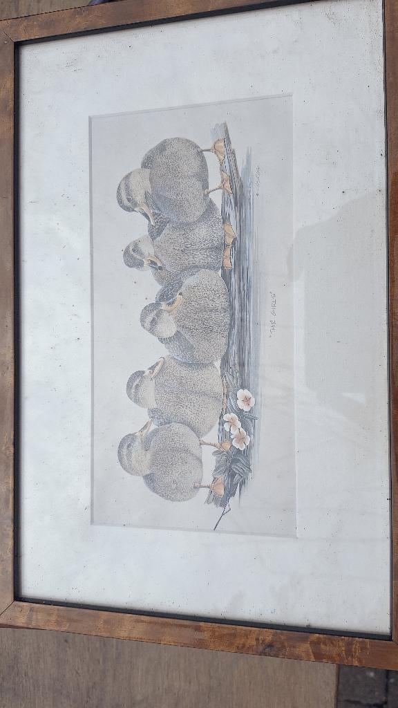 Natuur print, Ophalen of Verzenden