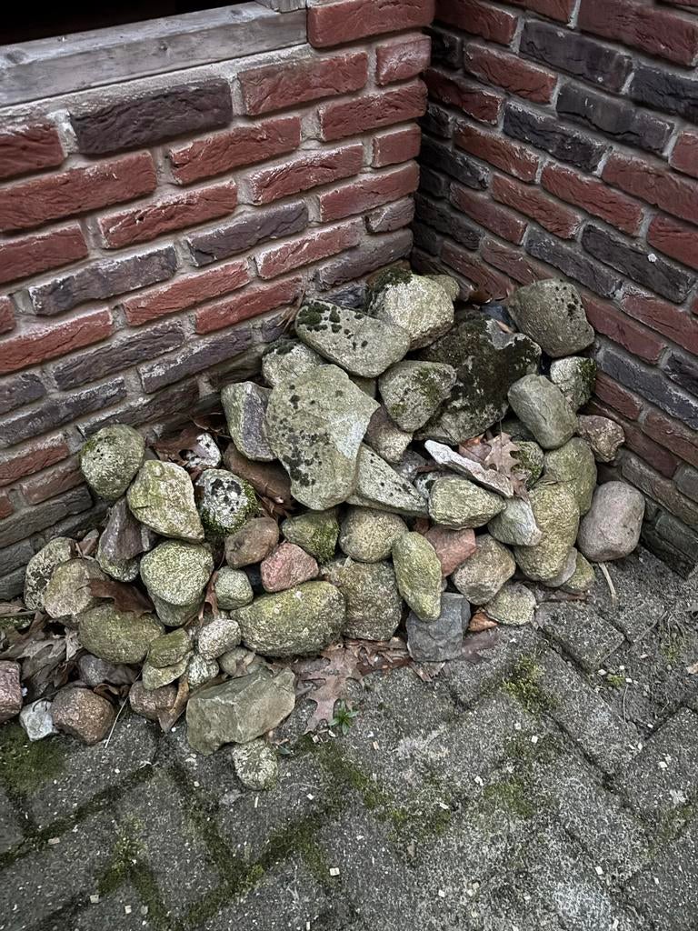 Natuurlijke stenen voor tuin of decoratie, Tuin en Terras, Grind, Keien en Split, Ophalen, Overige materialen, Gebruikt, Kei