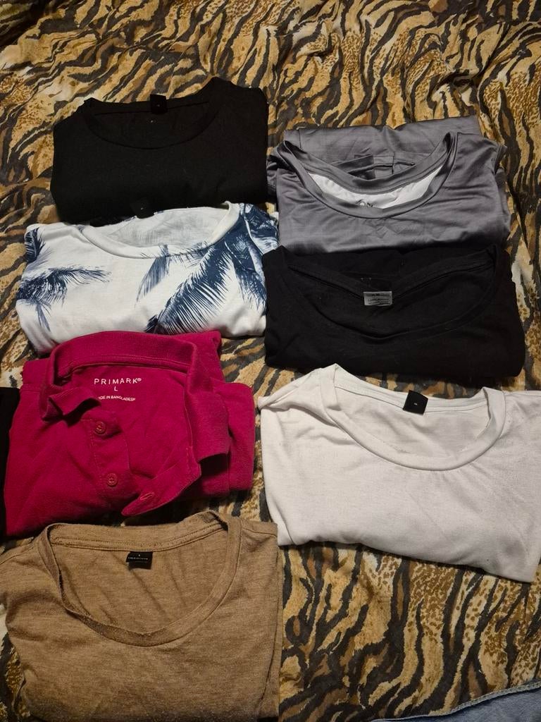 Heren T-shirts maat L, Kleding | Heren, Ophalen of Verzenden, Zo goed als nieuw, Maat 52/54 (L)