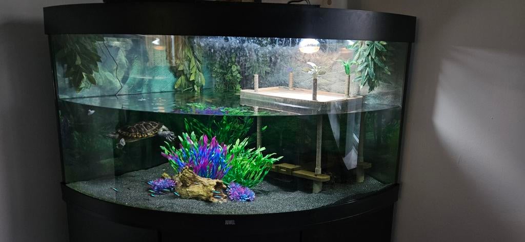 350 liter Aquarium (Juwel trigon 350) * lees beschrijving *, Dieren en Toebehoren, Vissen | Aquaria en Toebehoren, Ophalen
