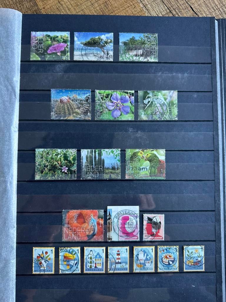 Nederland 19, Verzenden, Nederland