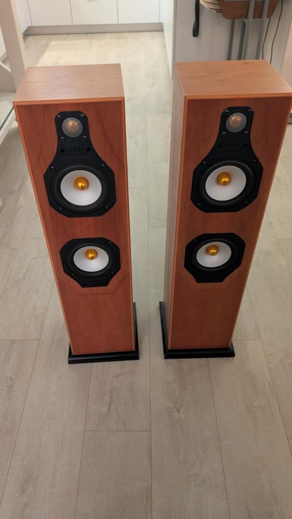 Monitor Audio Silver 5i Vloerstaande Luidsprekers, Audio, Tv en Foto, Luidsprekers, Zo goed als nieuw, 60 tot 120 watt, Front, Rear of Stereo speakers