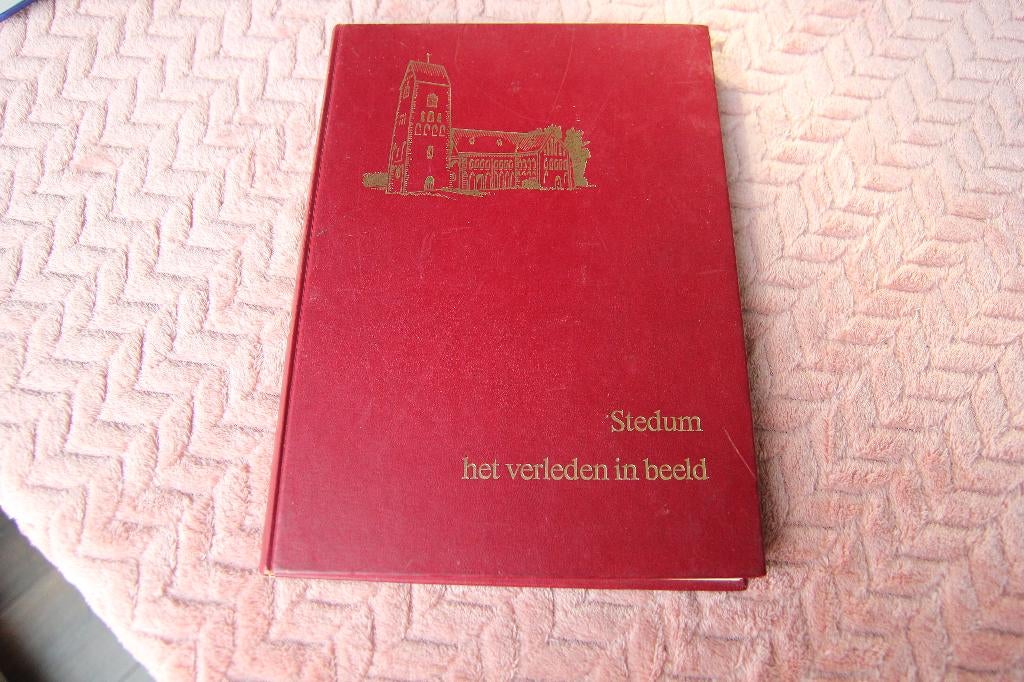 Stedum het verleden in beeld, Ophalen of Verzenden, Gelezen