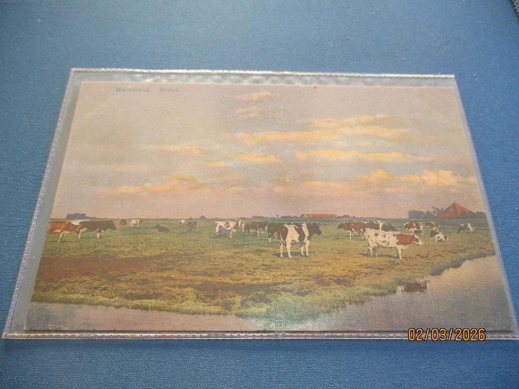 Broek in Waterland, Ophalen of Verzenden, Voor 1920, Ongelopen, Noord-Holland