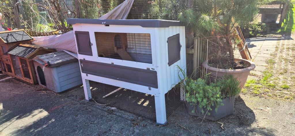 Kunstof hok van ferplast, 110 cm of meer, Hok, Cavia, Ophalen