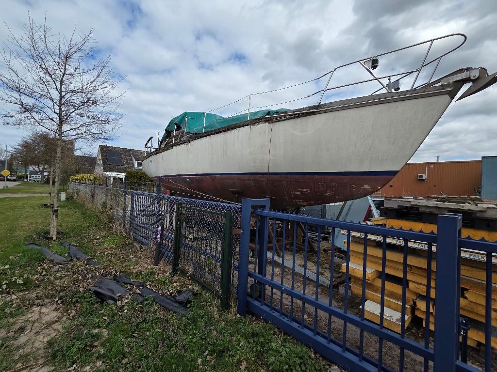 Motorsailer Vilm36, Watersport en Boten, Kajuitzeilboten en Zeiljachten, Ophalen, Gebruikt, Diesel, 9 tot 12 meter