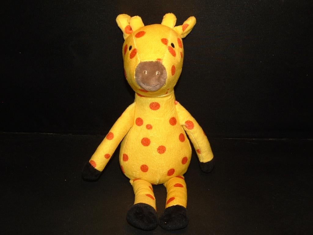 HET GROTE DIERENDORPJE BOEK VAN GITTE SPEE & KIM LIAN, Ophalen of Verzenden, Nieuw, Overige typen