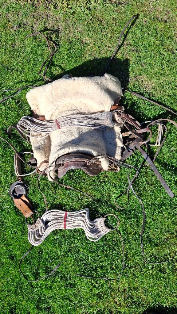 frans buitenrit zadel, Ophalen, Gebruikt, Overige soorten