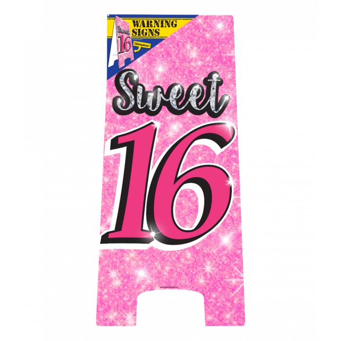 Waarschuwingsbord sweet 16, Verjaardag, Nieuw, Ophalen of Verzenden, A