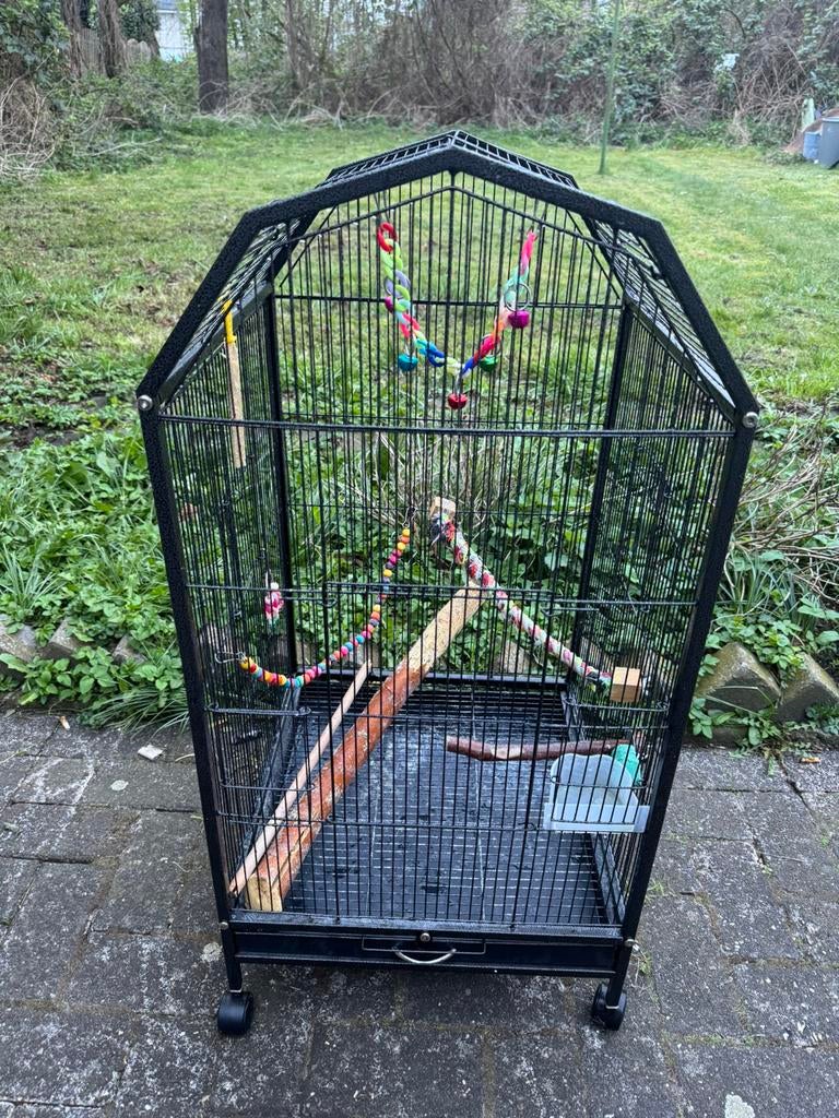 vogelkooi, Ophalen of Verzenden, Zo goed als nieuw, Metaal, Vogelkooi