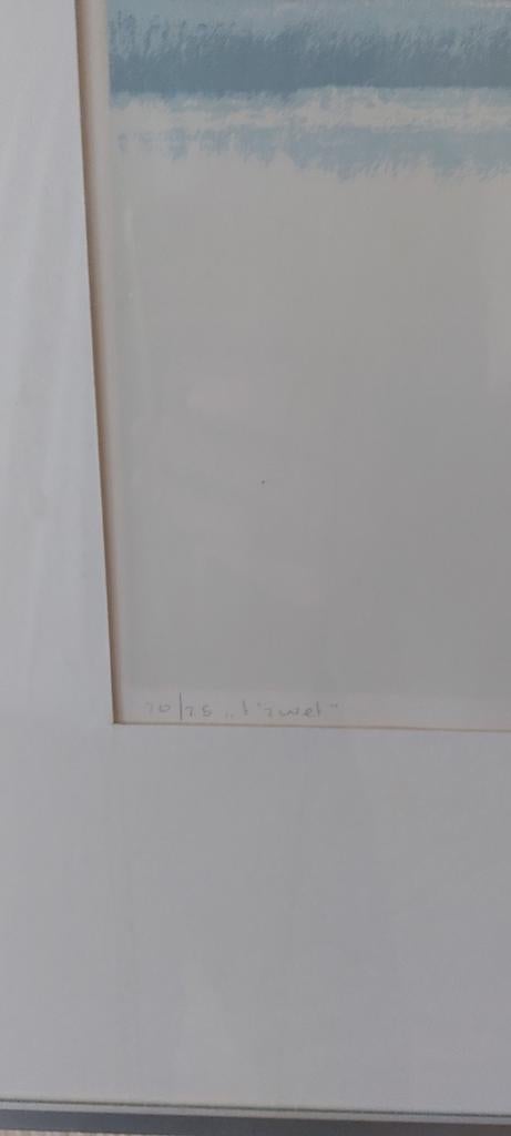 Peter Wolters - De Enge Wormer - Zeefdruk, Ophalen