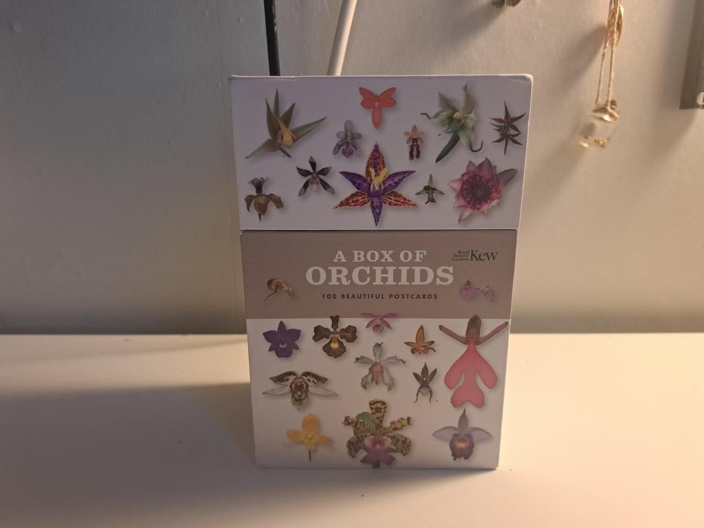 A box of orchids 100 aanzicht kaarten met orchideeën, Hobby en Vrije tijd, Kaarten | Zelf maken, Nieuw, Overige typen, Natuur