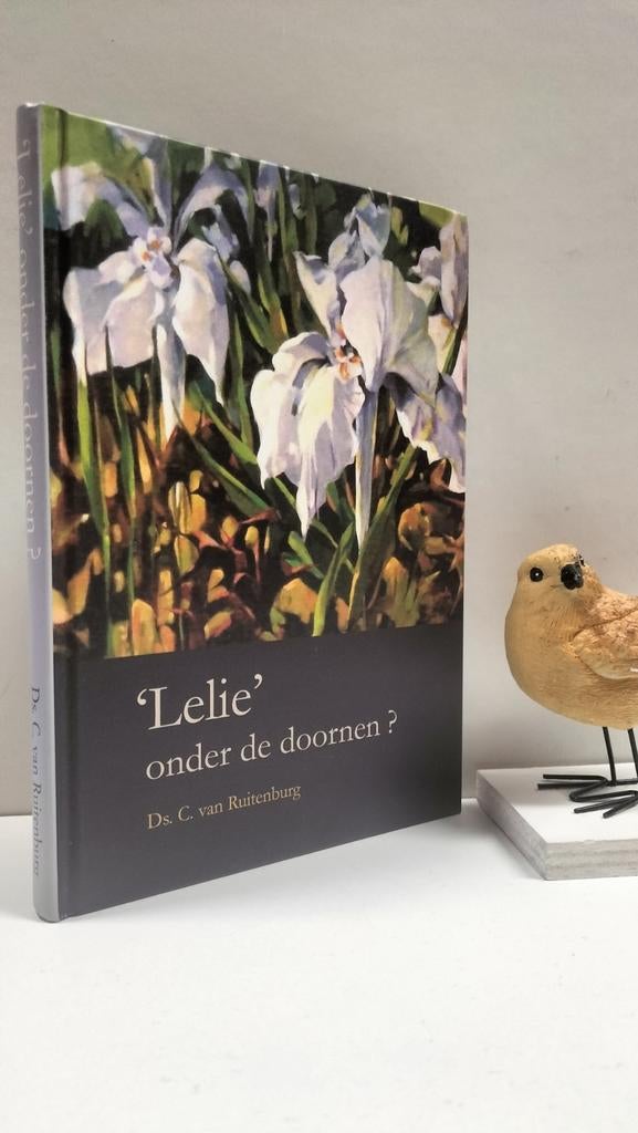 Ruitenburg, Ds. C. van; Lelie onder de doornen, Ophalen of Verzenden, Gelezen, Christendom | Protestants