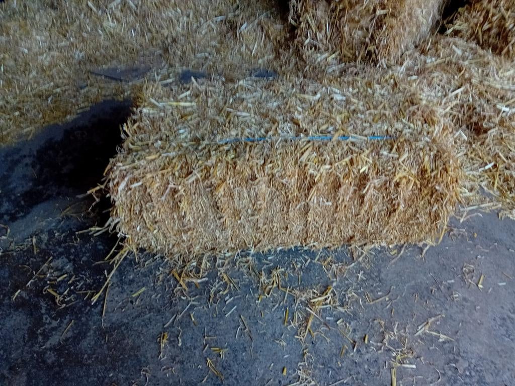 Stro, kleine balen, pakjes, baaltjes., Ophalen of Verzenden, Vee