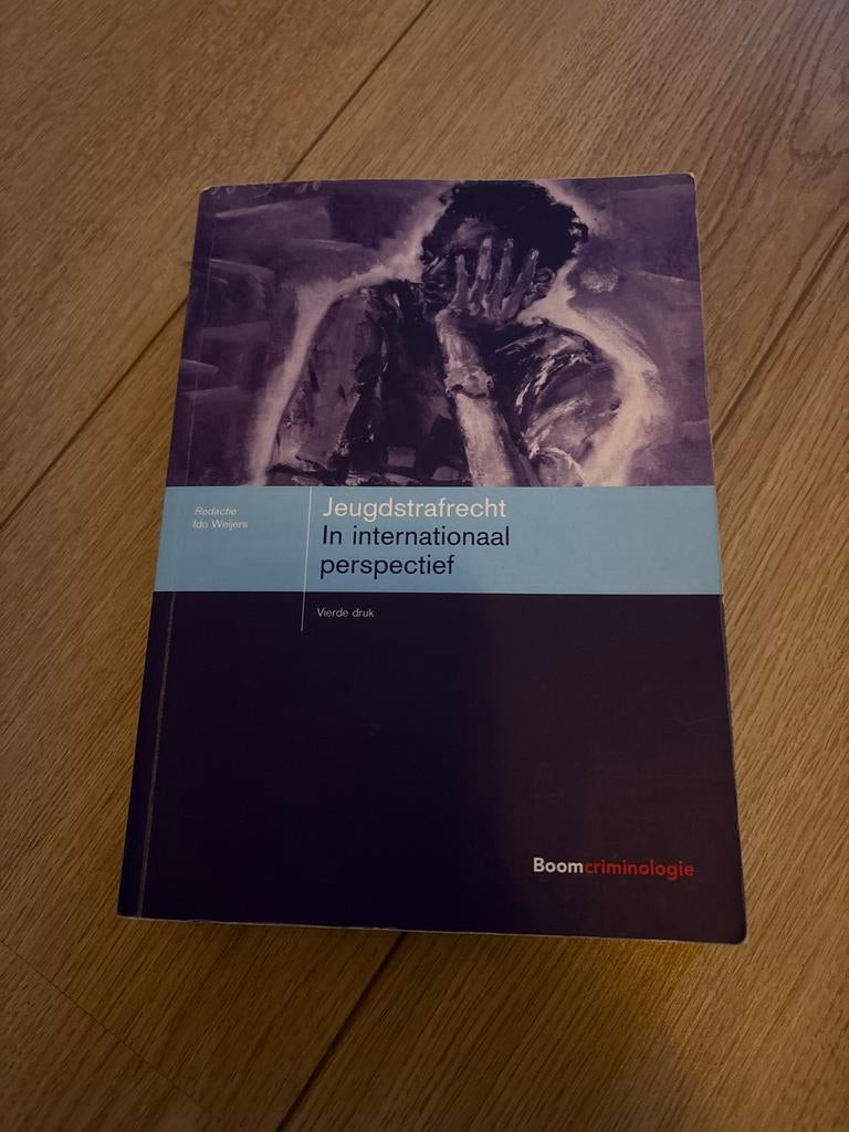 Jeugdstrafrecht Internationaal - Ido Weijers, Boeken, Studieboeken en Cursussen, Zo goed als nieuw, WO, Gamma, Ophalen of Verzenden
