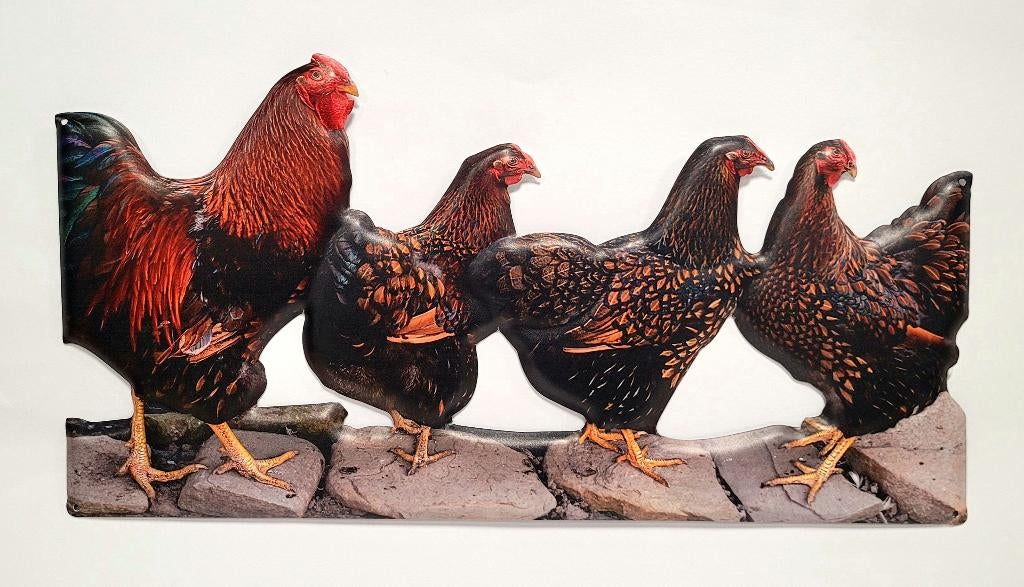 Bruine kippen en haan relief reclameord van metaal wandbord, Tuin en Terras, Info@deconoord.nl, Deco Noord, Nieuw, Ophalen of Verzenden
