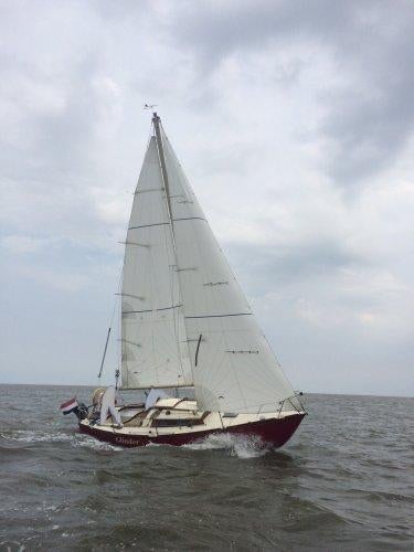 Waarschip 725 high aspect zeilen, Ophalen, 6 meter of meer, Zo goed als nieuw, Minder dan 15 m²