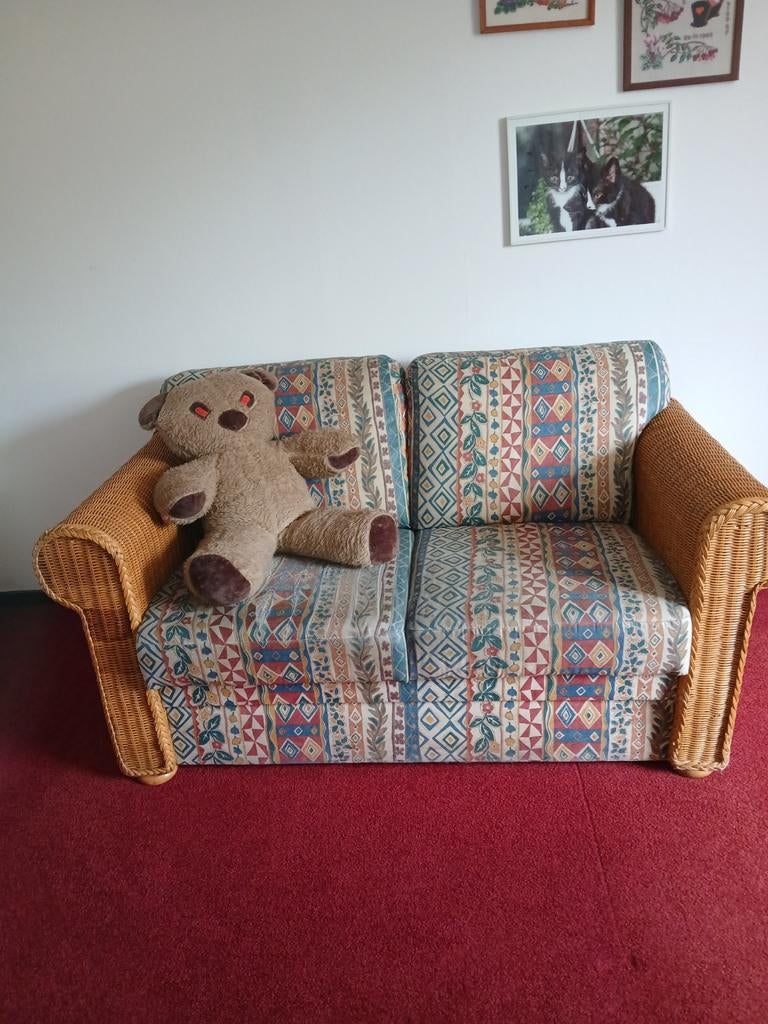 Gezellige 2-zits bank met rieten armleuningen, Huis en Inrichting, Banken | Bankstellen, Gebruikt, Rechte bank, Tweepersoons, 150 tot 200 cm