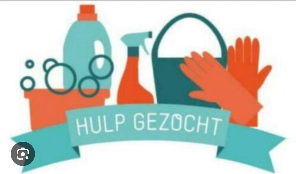 Ervaren Schoonmaakster gezocht, Diensten en Vakmensen, Huishoudelijke hulp, Wassen