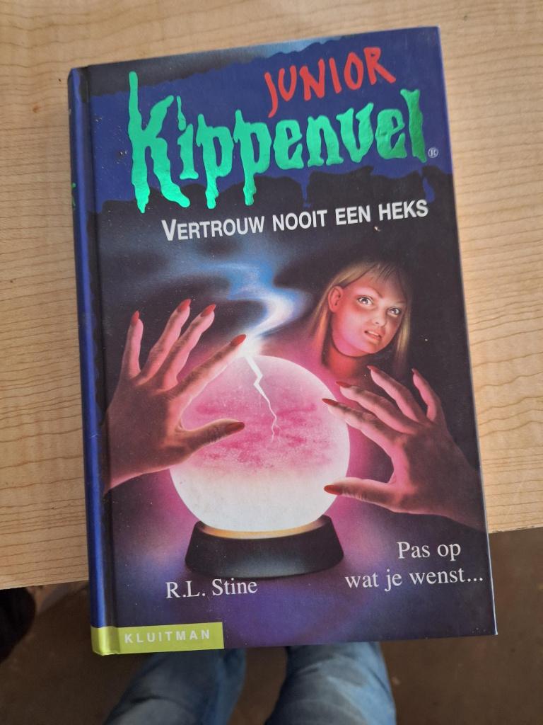 boek vertrouw nooit een heks -kippenvel junior-, Boeken, Ophalen of Verzenden, Zo goed als nieuw, Fictie algemeen