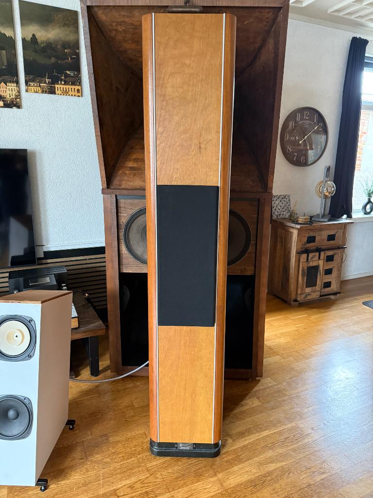 Horning Alkibiades Signature Silver, Audio, Tv en Foto, Luidsprekers, Gebruikt, Front, Rear of Stereo speakers, Minder dan 60 watt