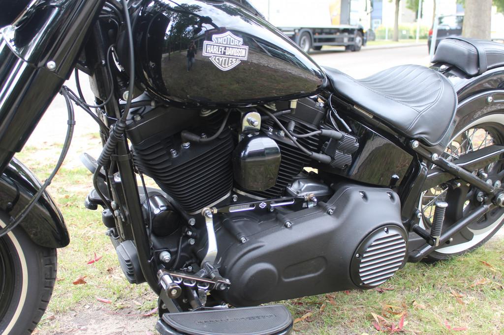 Harley-Davidson Softail FLS Softail Slim - foto 3