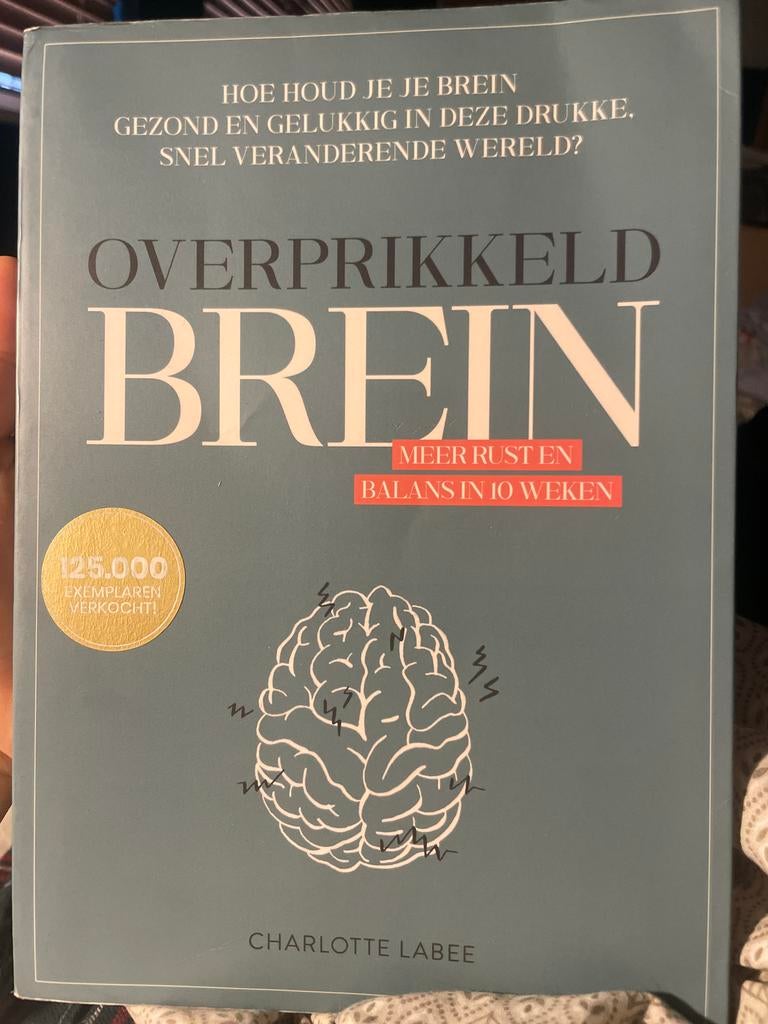 Overprikkeld Brein - Meer rust en balans in 10 weken, Ophalen, Zo goed als nieuw, Overige onderwerpen