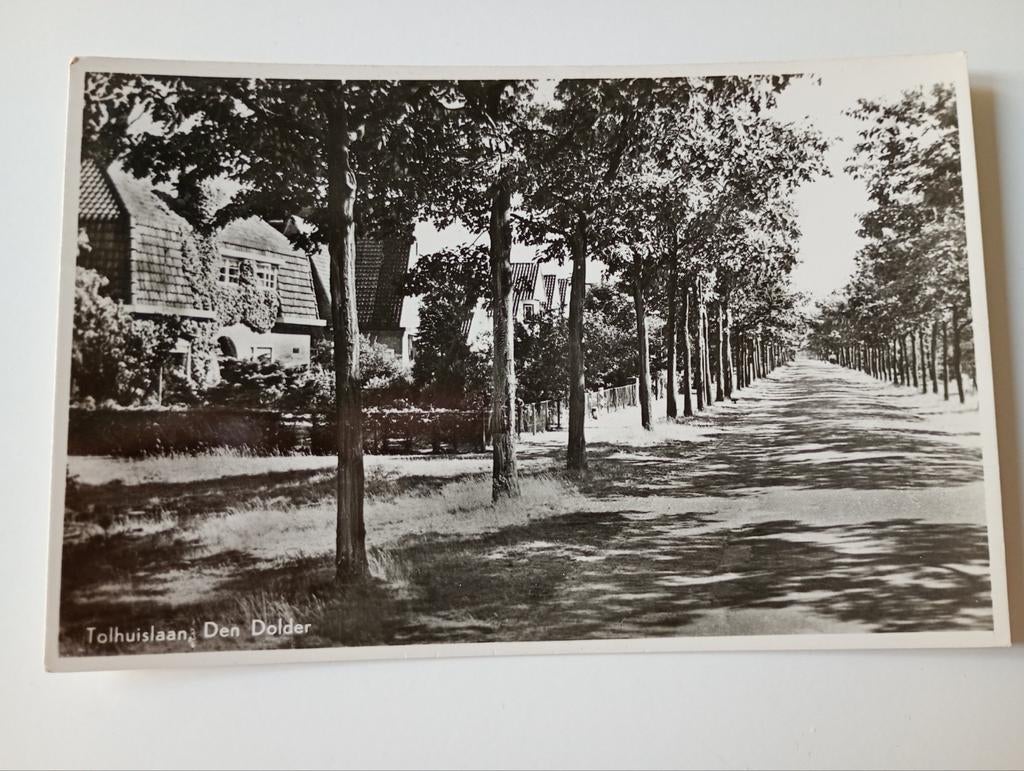 Den Dolder Tolhuislaan 1959, Ophalen of Verzenden, 1940 tot 1960, Gelopen, Utrecht