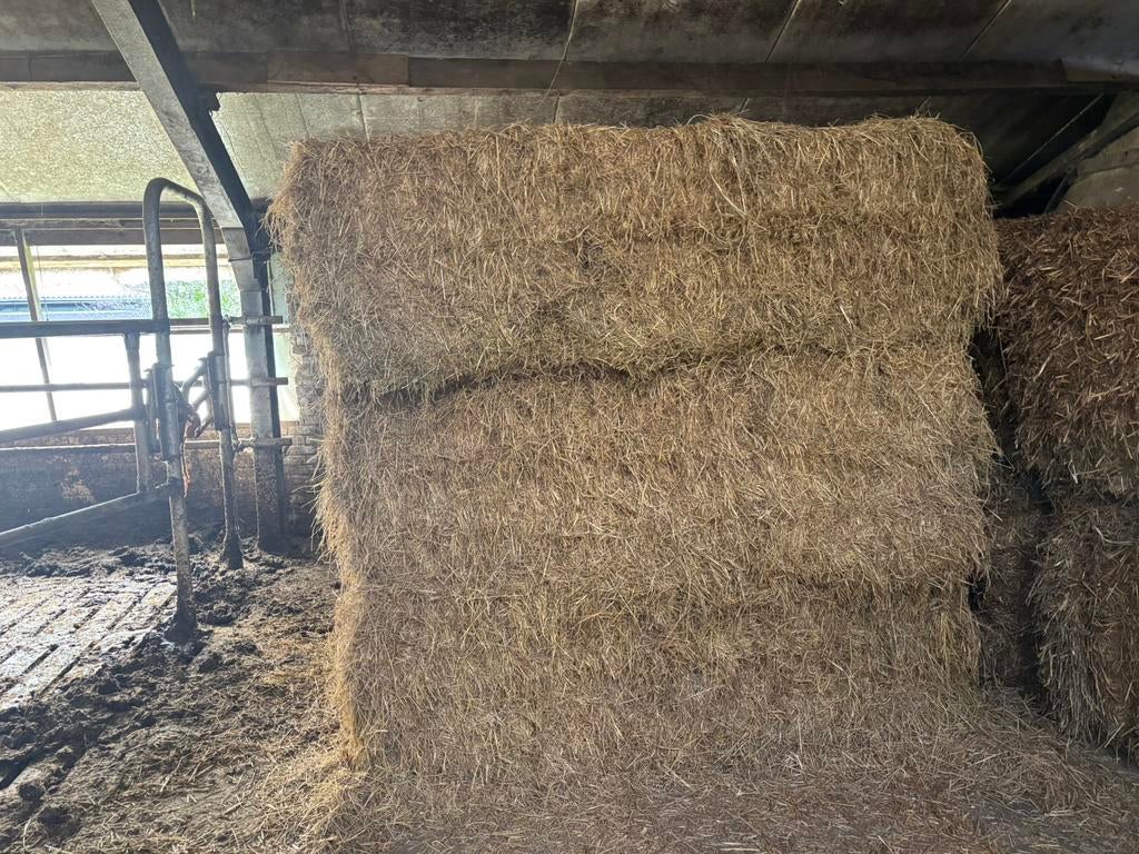 Hooi baal groot, Ophalen, Vee