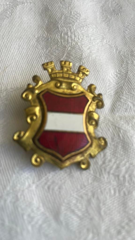 Pet embleem stadspolitie Wenen, Verzamelen, Ophalen of Verzenden, Landmacht, Nederland, Embleem of Badge