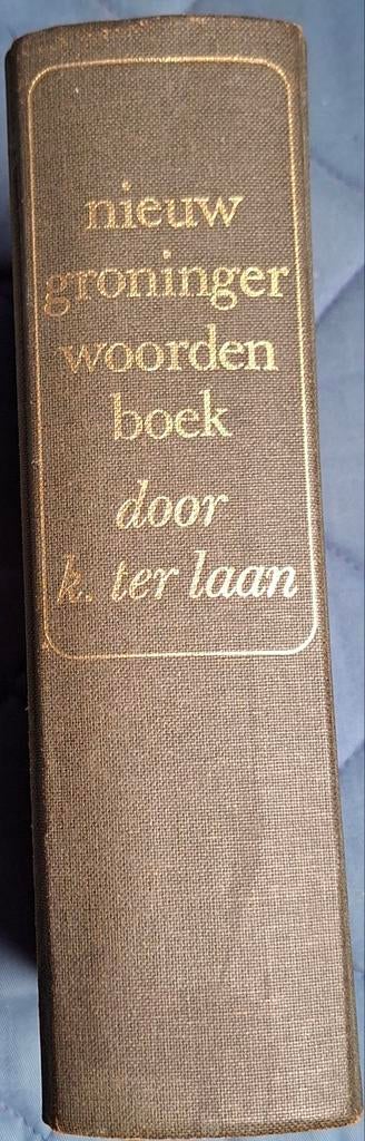 NIEUW GRONINGER WOORDENBOEK, Ophalen of Verzenden, Nieuw, Overige uitgevers