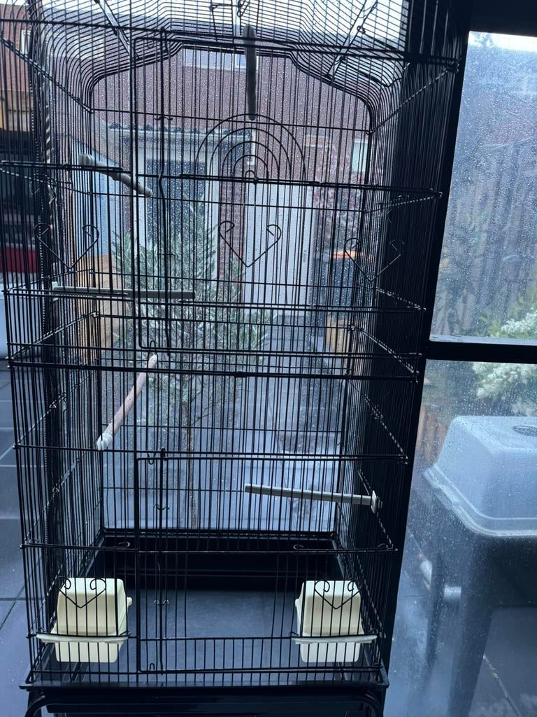 Vogelkooi, Ophalen, Zo goed als nieuw, Metaal, Vogelkooi