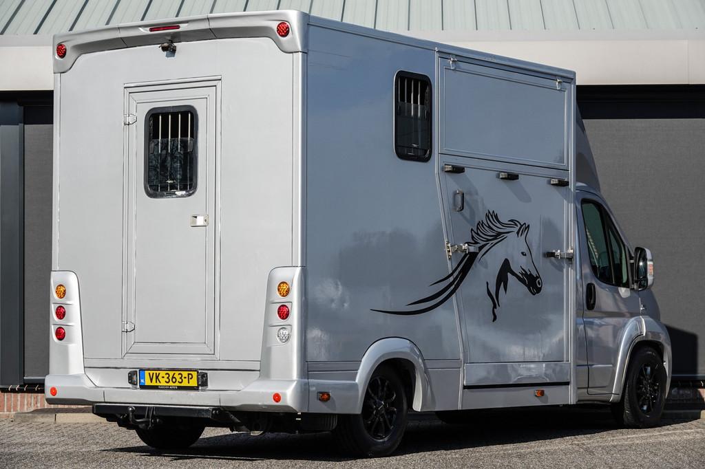 Fiat Ducato Horsetruck | 3.0 MultiJet 177Pk | 2-Paards | Tre, Gebruikt, Overige typen, Verkoop@russcherautos.nl, Russcher Auto's