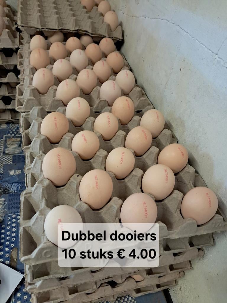 Bruine Scharreleieren Ook Dubbeldooiers, Diversen, Levensmiddelen, Ophalen