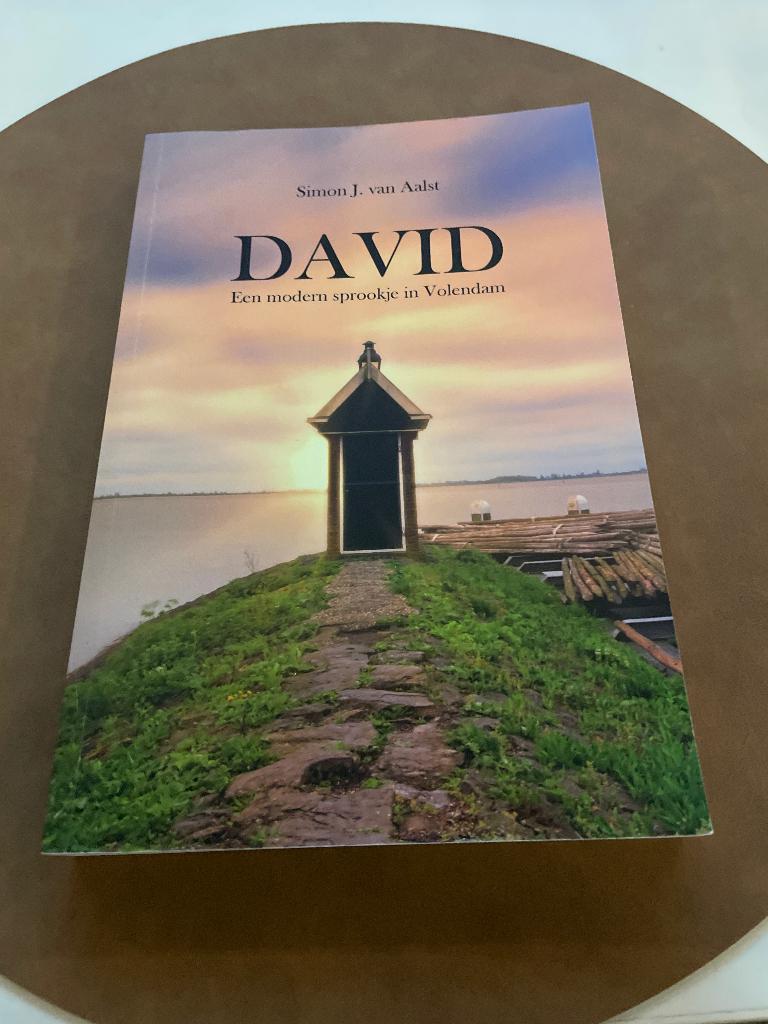 David, Boeken, Simon J. van Aalst, Nieuw, Ophalen of Verzenden, Nederland
