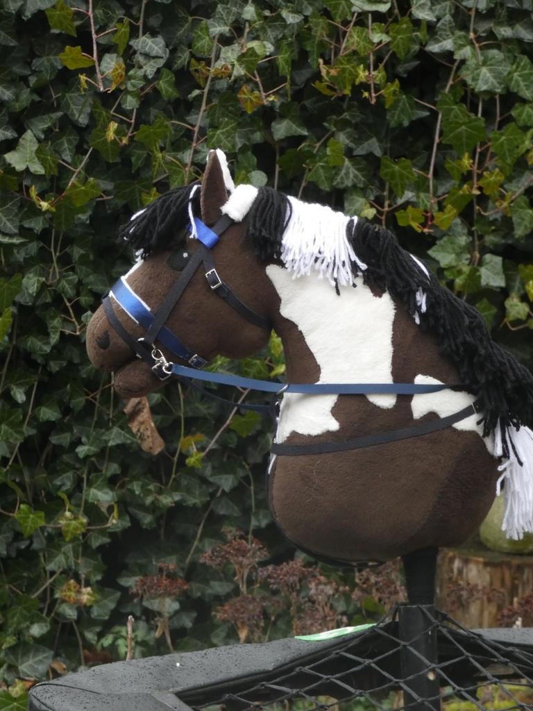 Hobbyhorse met tuig – hobby horse, Hobby en Vrije tijd, Overige Hobby en Vrije tijd, Ophalen of Verzenden
