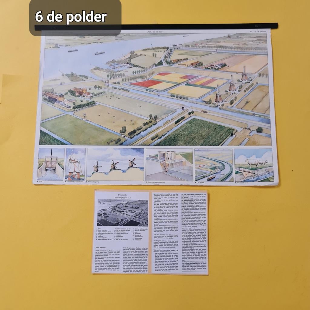 Schoolplaten., Antiek en Kunst, Ophalen of Verzenden, Natuur en Biologie