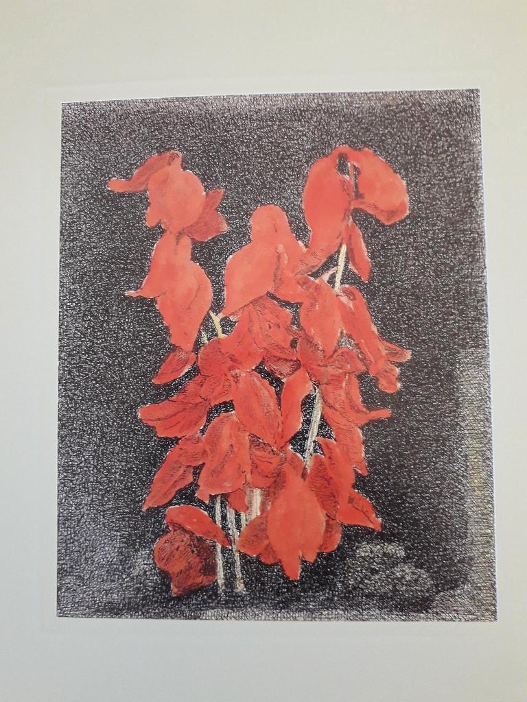 reproductie "voor Pluisje van vader"., Ophalen