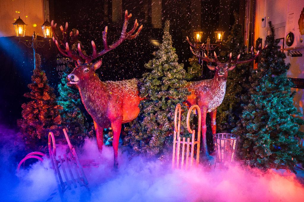 APRÉ SKI DECOR | HUUR, Ophalen of Verzenden, Zo goed als nieuw, Overige