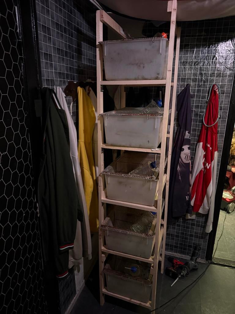 Mooie stelling met t4 bakken, Dieren en Toebehoren, Ophalen of Verzenden