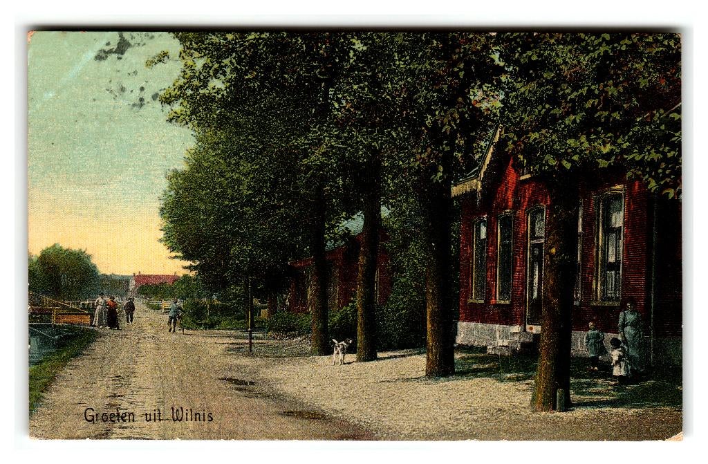 Wilnis, Groeten uit Wilnis. Tulpkaart. Lees beschrijving, Ophalen of Verzenden, Voor 1920, Gelopen, Utrecht