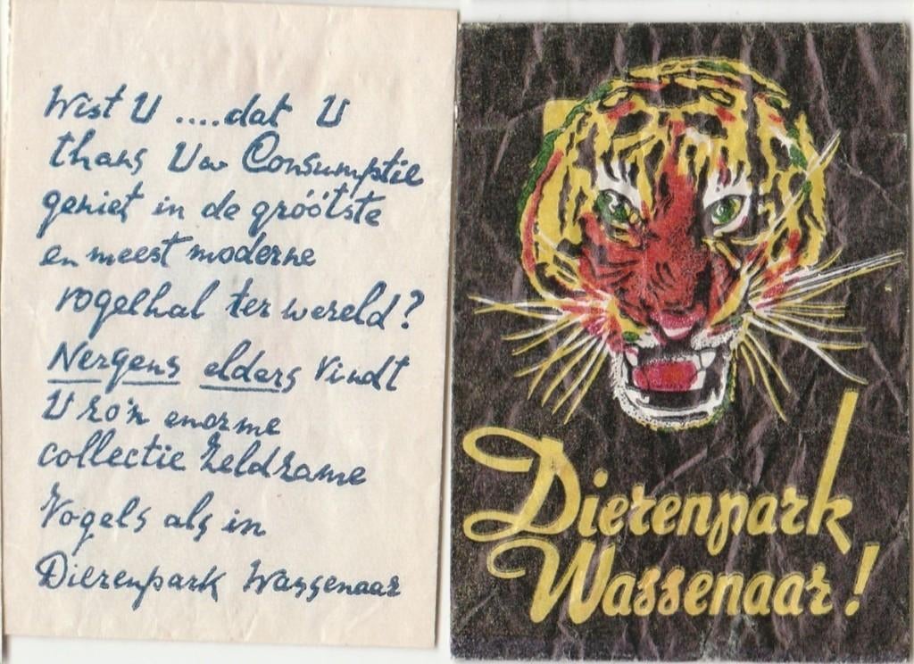 dierenpark Wassenaar - zoo tijger vogelhal oranje tropiaal, Verzamelen, Ophalen of Verzenden