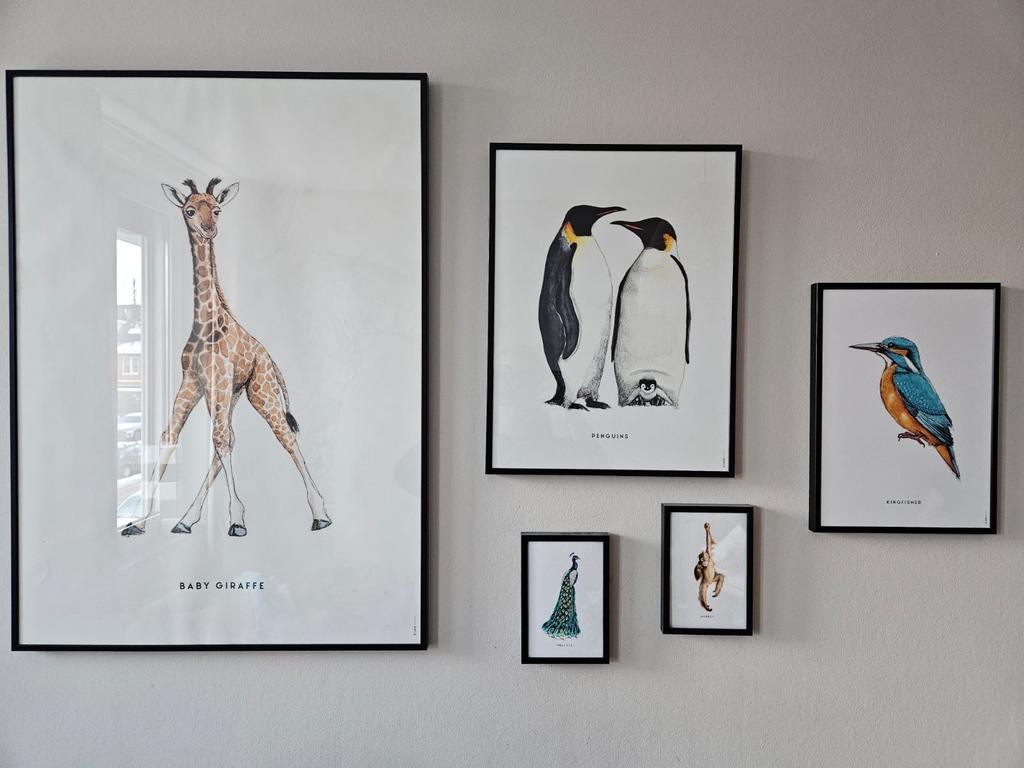 Diverse Posters met Dierenmotieven, Minder dan 50 cm, Ophalen of Verzenden, Zo goed als nieuw, Foto of Poster