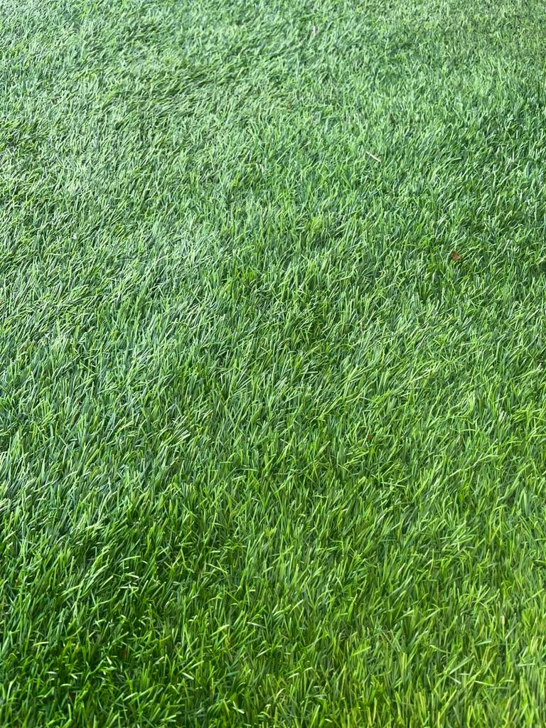 Kunst gras voor een mooi prijsje, Ophalen, Zo goed als nieuw, 20 m² of meer