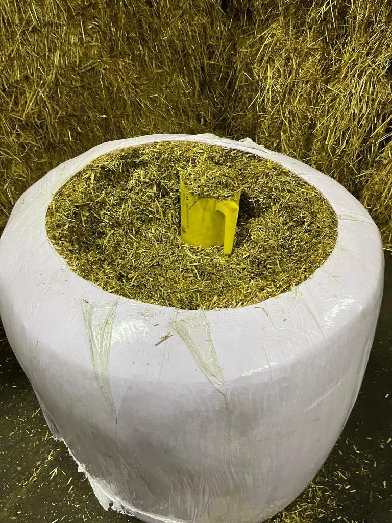 Hokverrijkings product Varkens Luzerne Mix, Ophalen