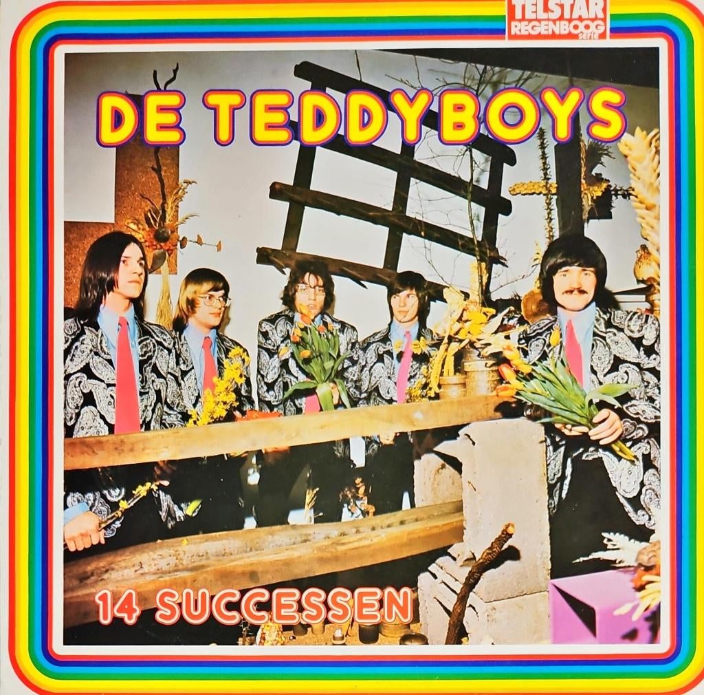 Teddyboys – 14 Successen - De Beste Van, Cd's en Dvd's, Ophalen of Verzenden, Zo goed als nieuw, 12 inch, Levenslied of Smartlap