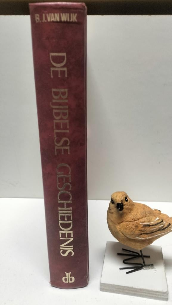 Wijk, B.J. van; De Bijbelse geschiedenis, Boeken, Ophalen of Verzenden, Gelezen, Christendom | Protestants