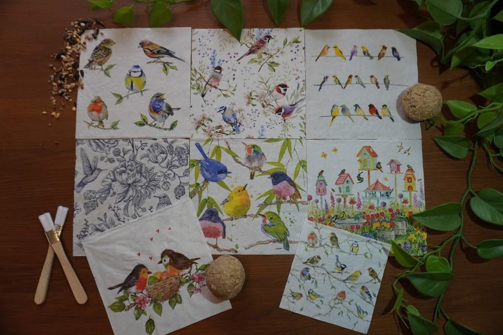 DIY Decoupage harten dozen - prachtige vogel opties, Dieren en Toebehoren, Vogels | Overige Vogels, Vrouwelijk