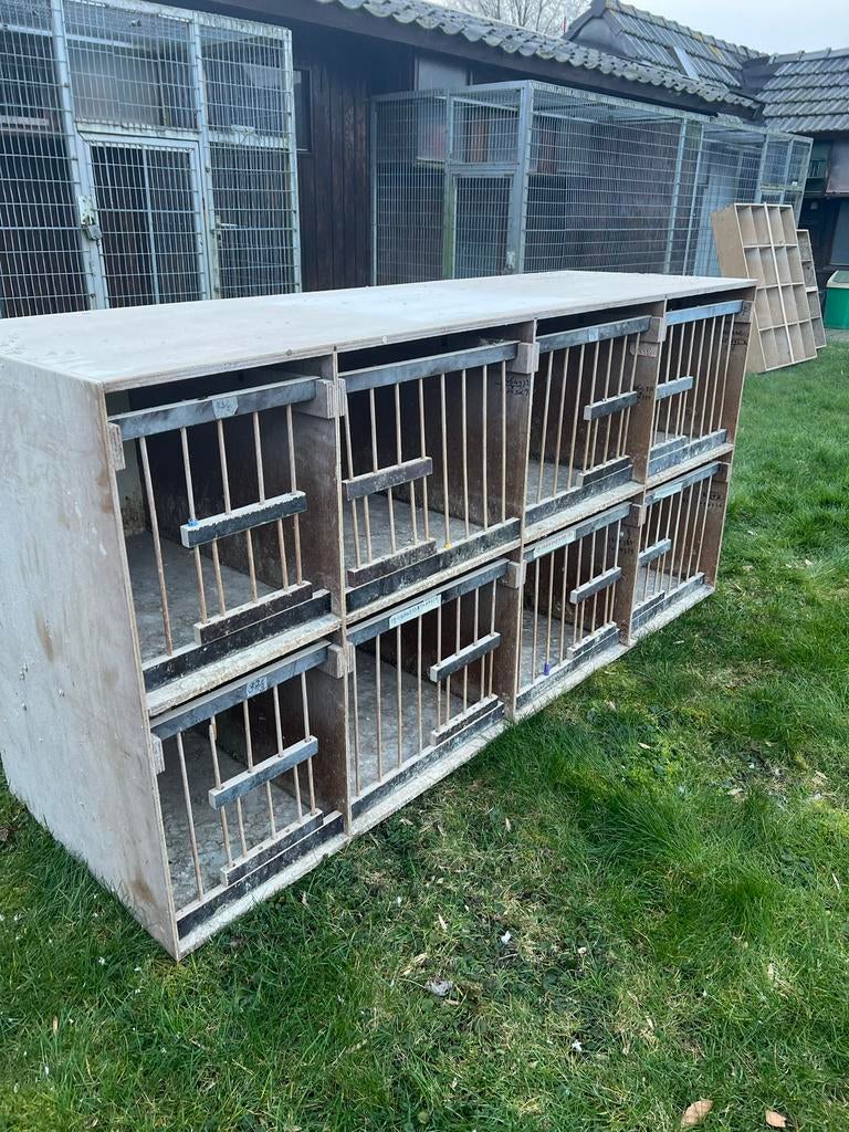 Duivenhok, Ophalen, Gebruikt, Hout, Vogelkooi