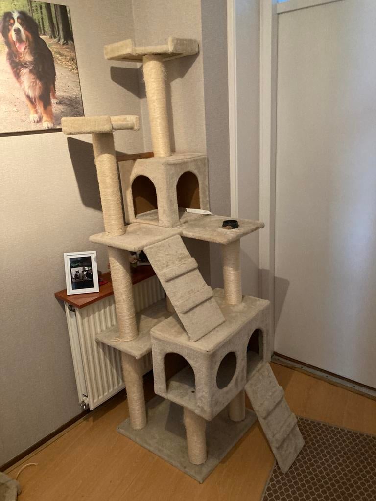 Kattenpaal, Ophalen, Zo goed als nieuw, Krabpaal